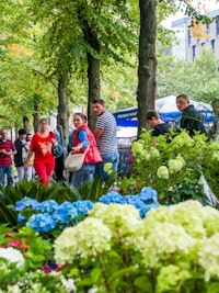 Placeholder for LOCATIE Markt Nolensplein WEB 07