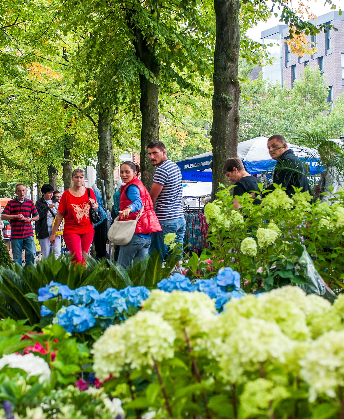 LOCATIE Markt Nolensplein WEB 07