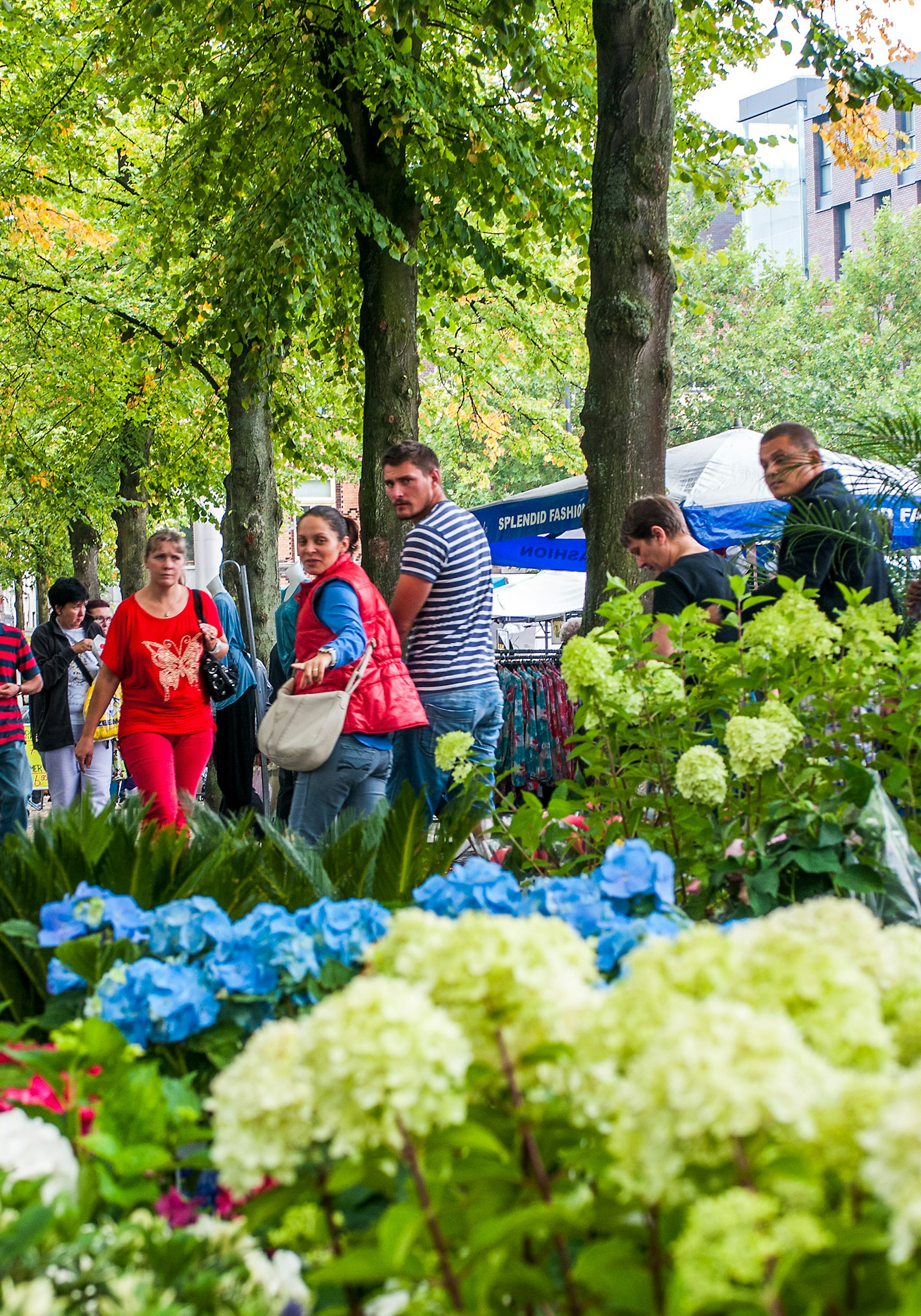 LOCATIE Markt Nolensplein WEB 07