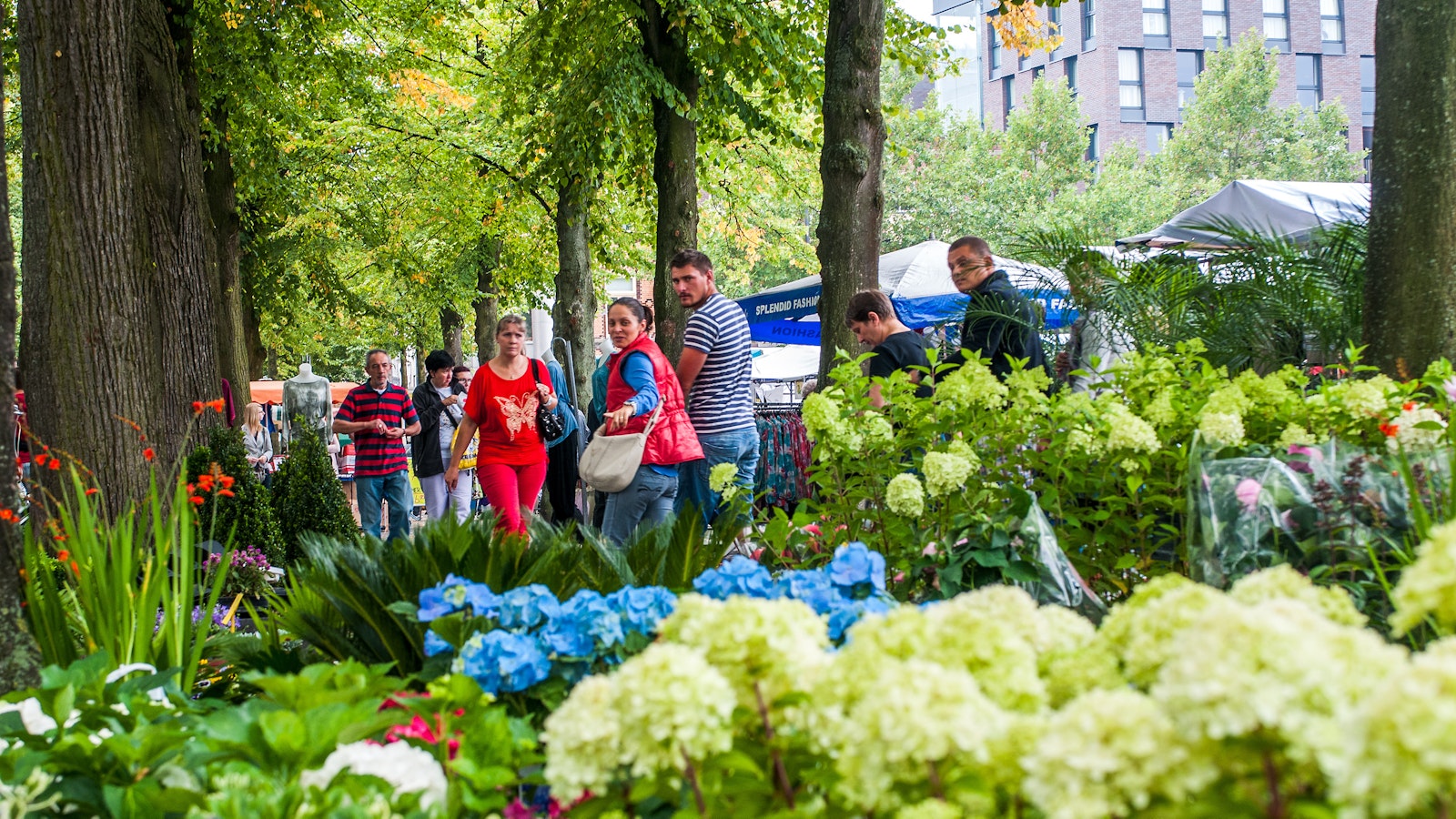 LOCATIE Markt Nolensplein WEB 07