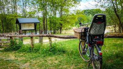 Placeholder for NATUUR Jaomerdal WEB Petra Lenssen 29