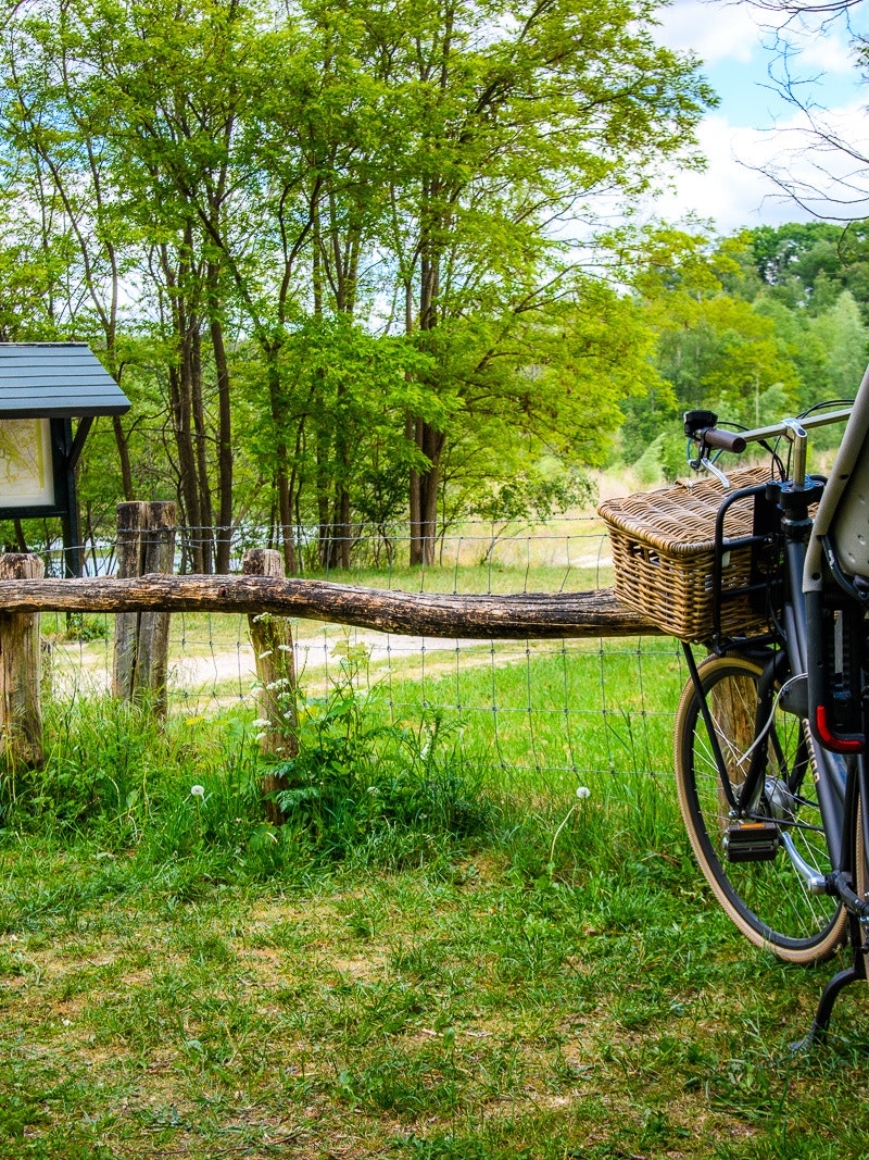 NATUUR Jaomerdal WEB Petra Lenssen 29
