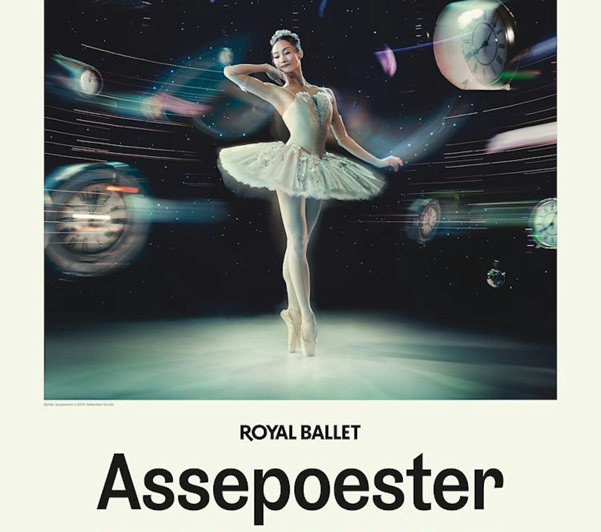 RBO 25 26 Assepoester ps 1 jpg sd low