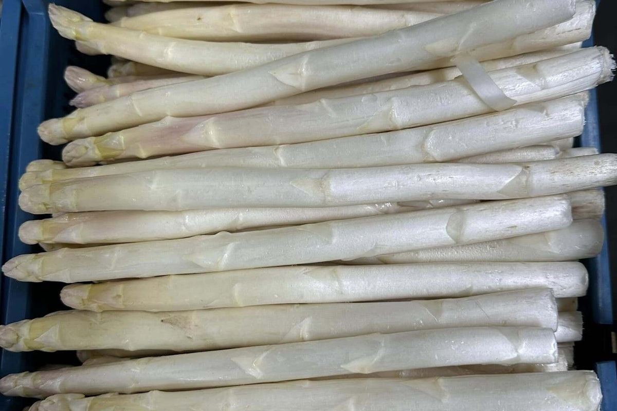 BLOG Limburgs goud WEB Facebook Gipmans vd Zanden