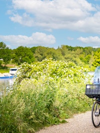 Placeholder for CAMPAGNE Maas Zomer 2025 WEB Zebra Fotostudio 042