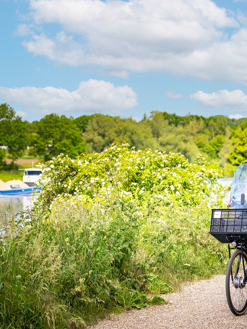 CAMPAGNE Maas Zomer 2025 WEB Zebra Fotostudio 042