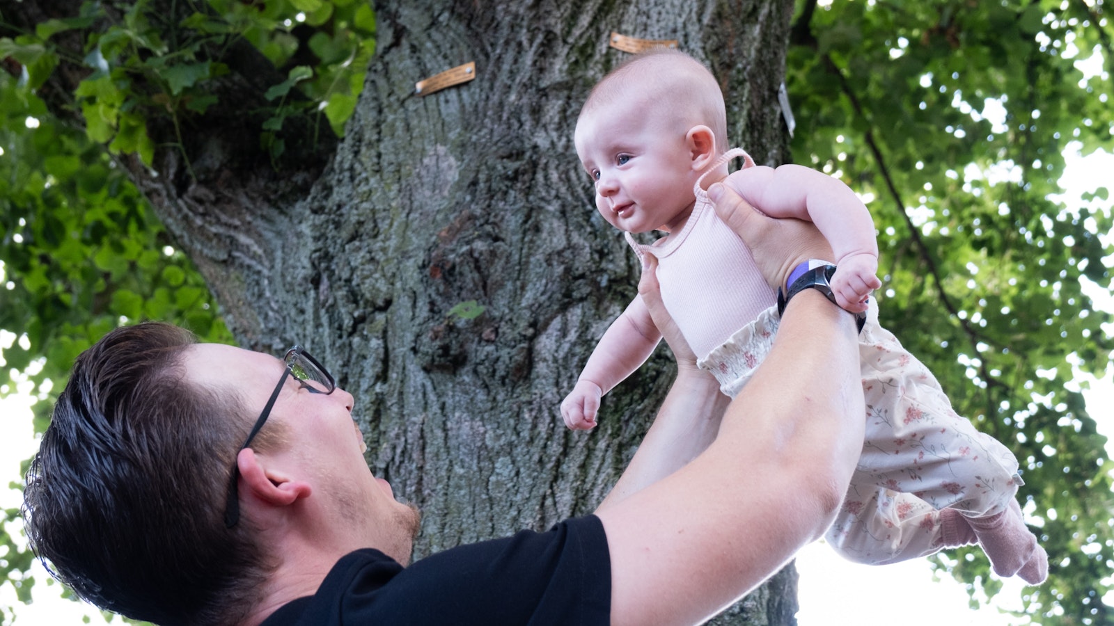 STADSDICHTER Onder de Herinneringsboom WEB Joy Cremers
