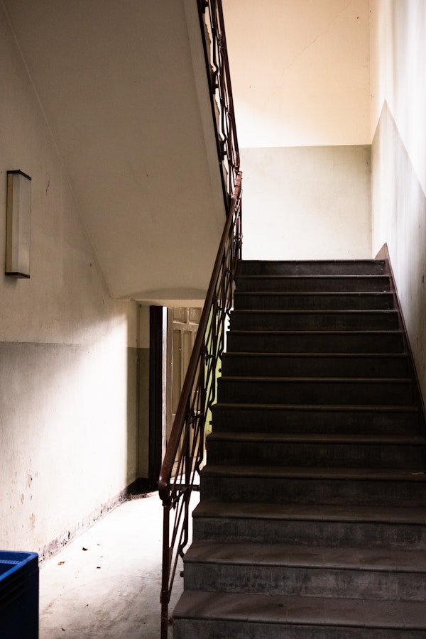 Placeholder for STADSFOTOGRAAF Fotosafari Steyl WEB Joy Cremers 2180