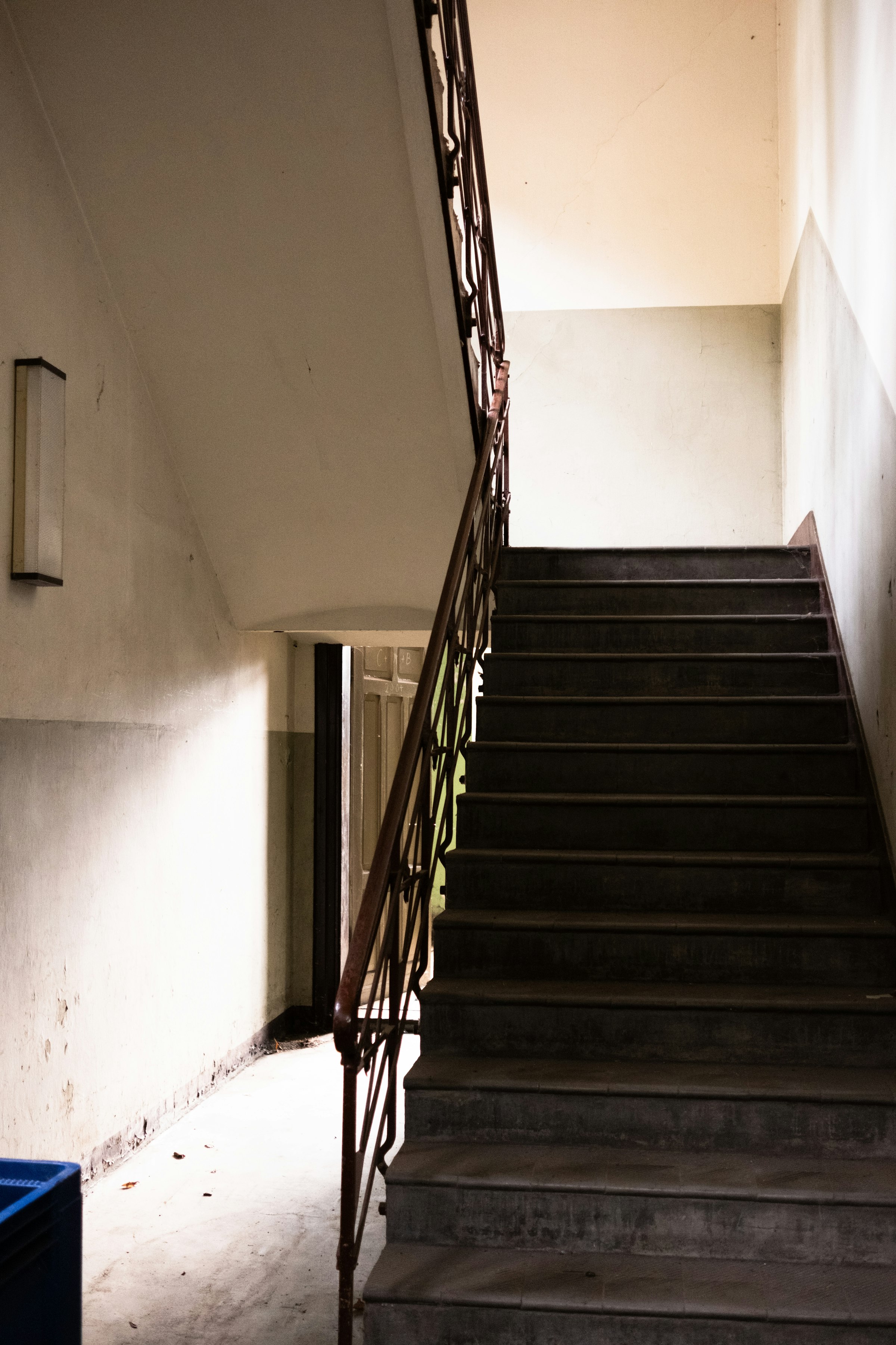 STADSFOTOGRAAF Fotosafari Steyl WEB Joy Cremers 2180