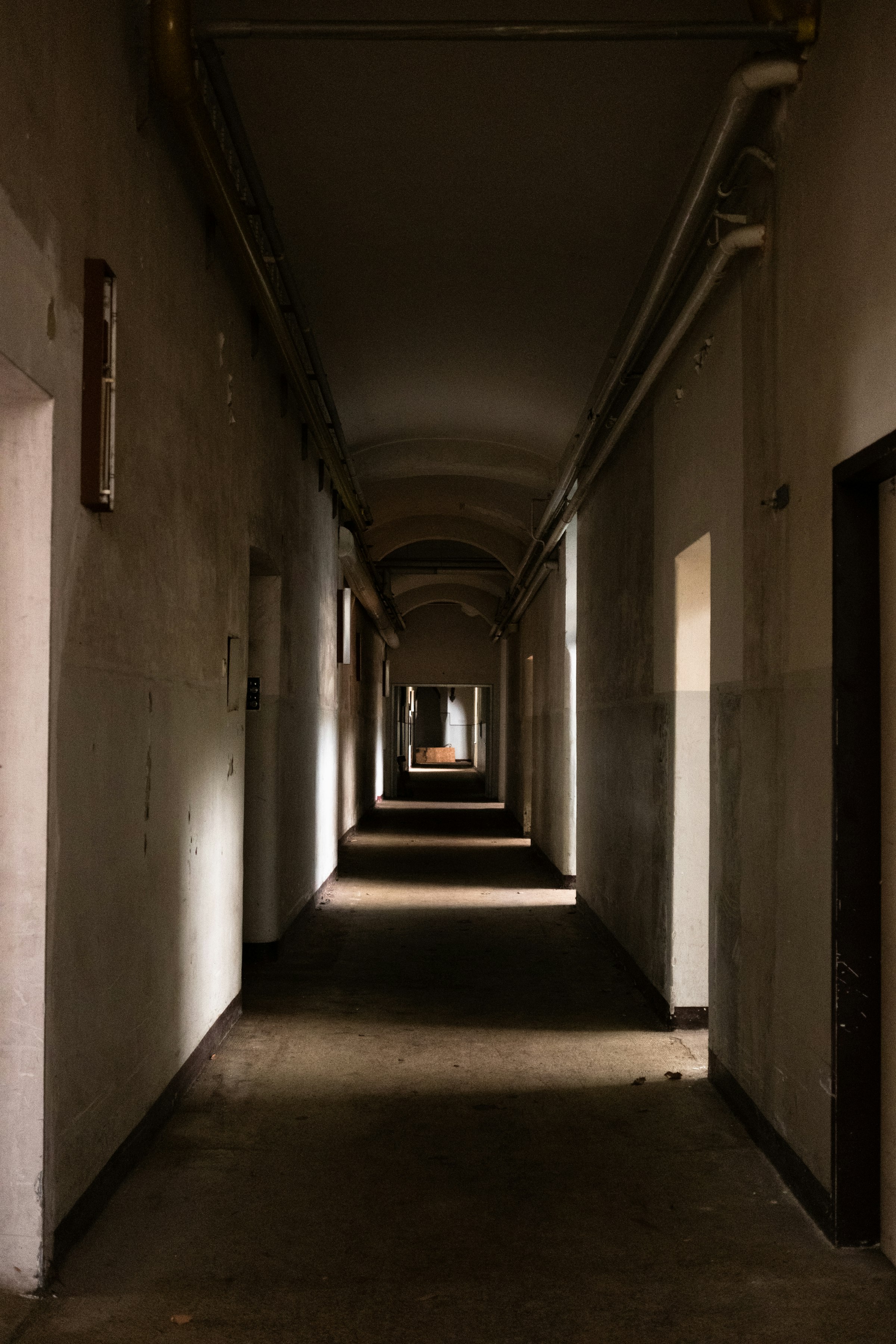 STADSFOTOGRAAF Fotosafari Steyl WEB Joy Cremers 2186