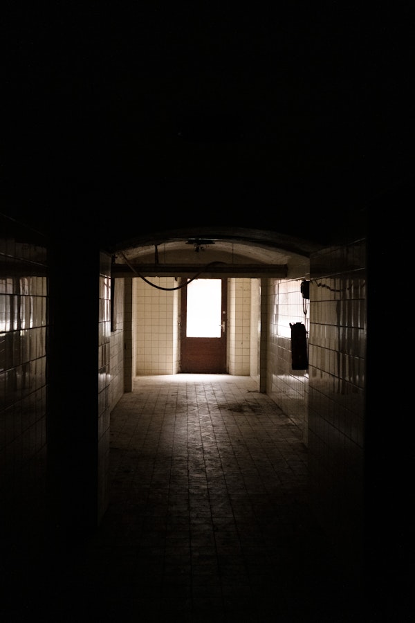 Placeholder for STADSFOTOGRAAF Fotosafari Steyl WEB Joy Cremers 2223