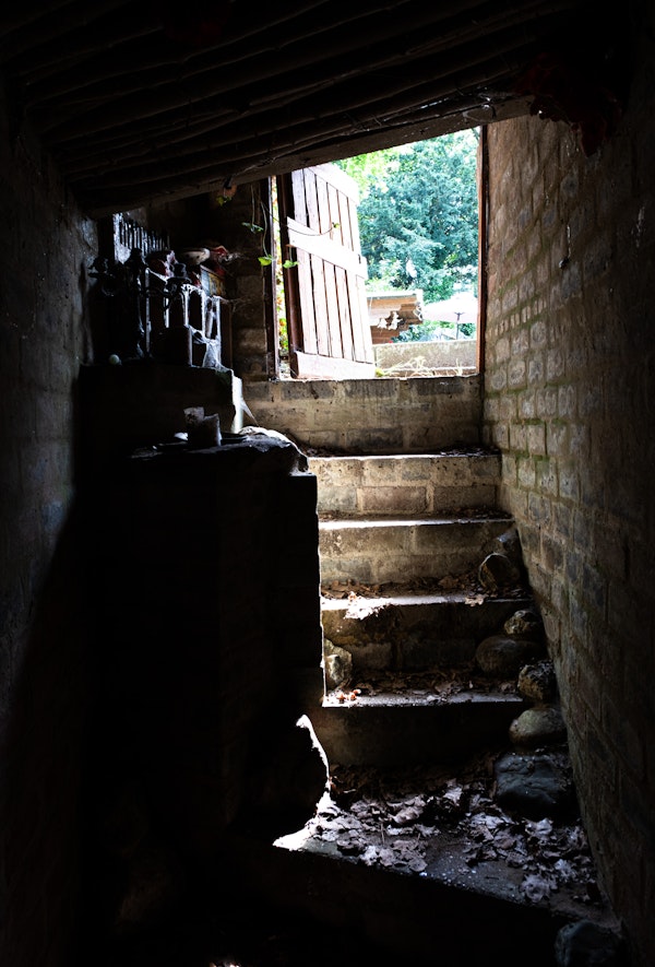 Placeholder for STADSFOTOGRAAF Toet Tout WEB Joy Cremers 0980