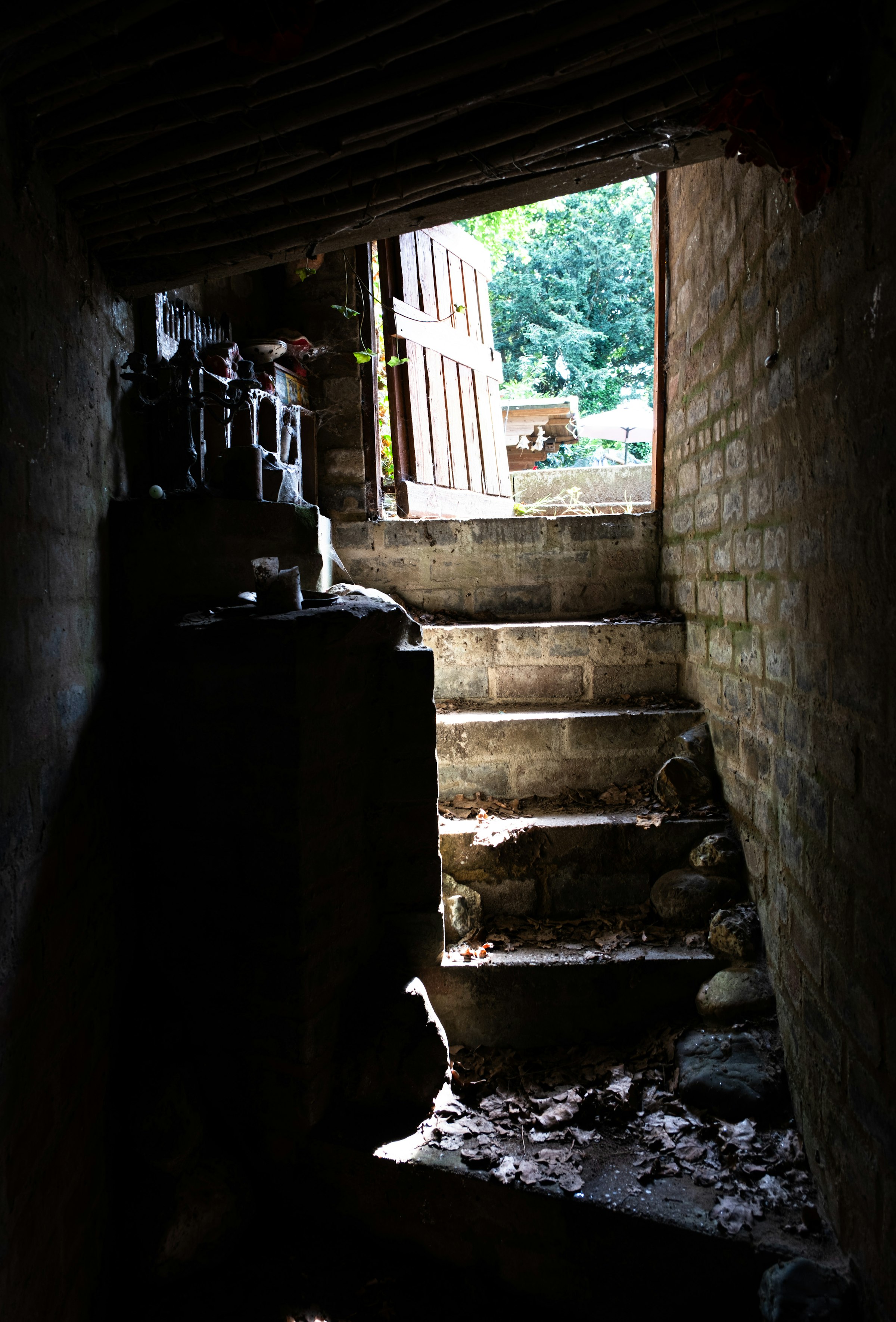 STADSFOTOGRAAF Toet Tout WEB Joy Cremers 0980