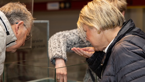 Placeholder for MVS 20250122 0088