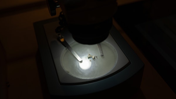 Placeholder for MVS 20250209 0077