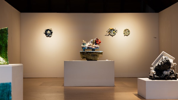 Placeholder for MVS 20250209 0091