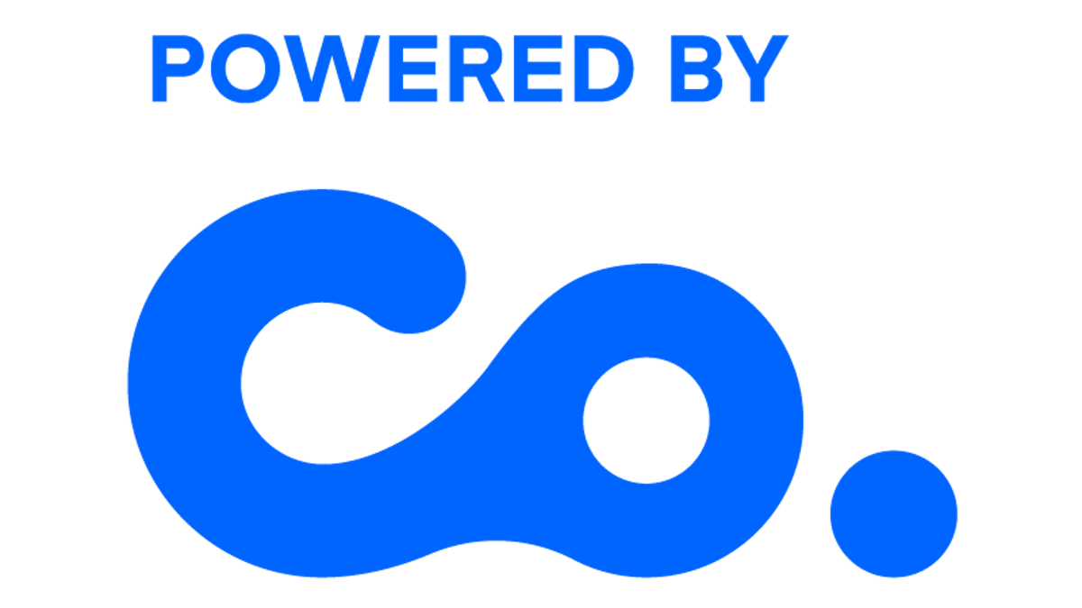 LOGO Co. de Cultuurontwikkelaar WEB