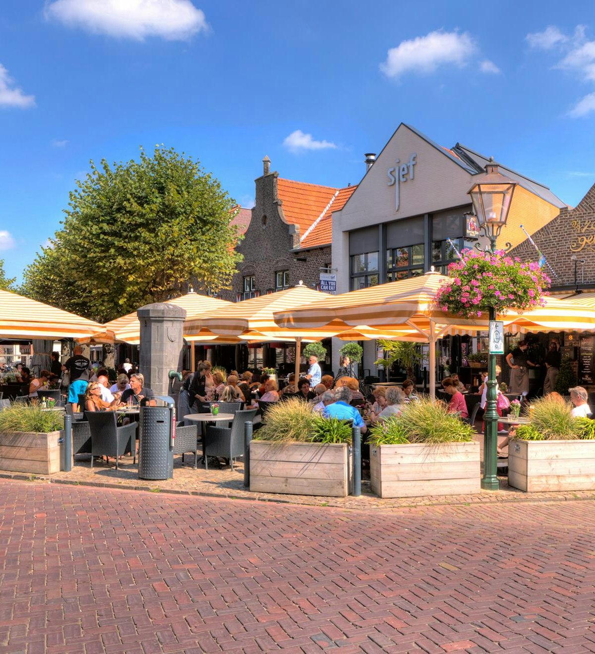 12045684 722634084547892 6418096511998557478 o