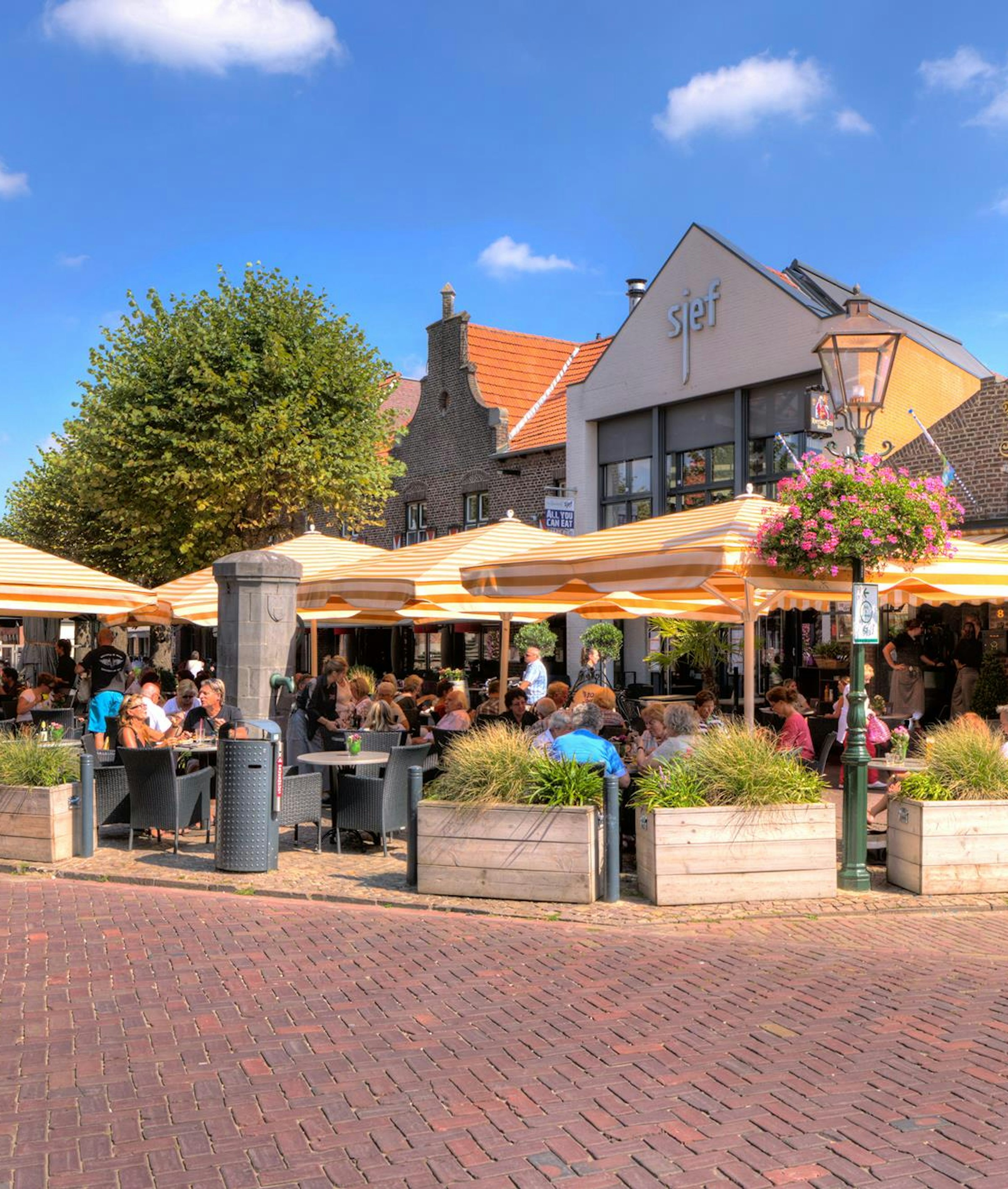 12045684 722634084547892 6418096511998557478 o