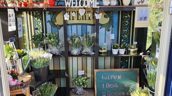 Placeholder for bloemenkiosk vlinderke
