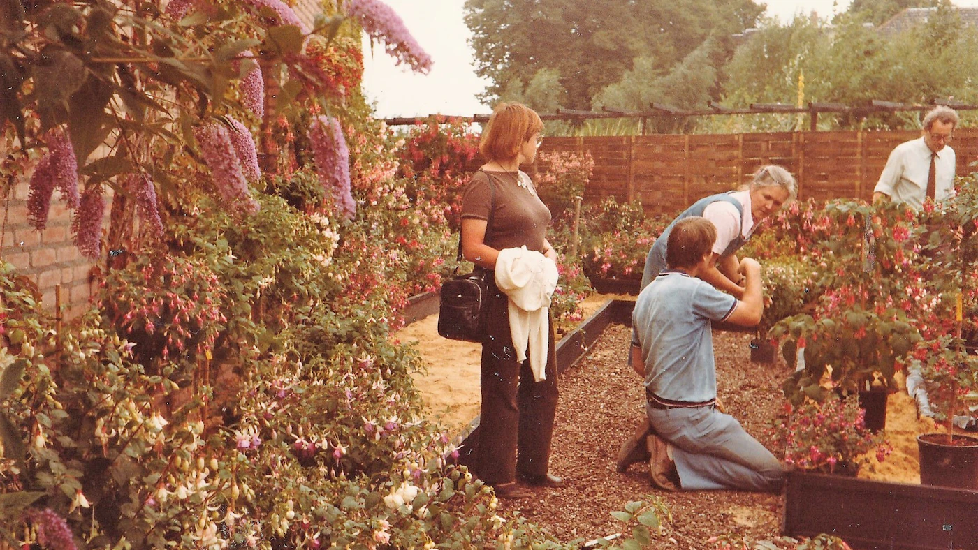 1983 fuchsia show in de Jochemhof