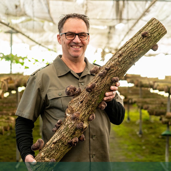 Placeholder for De Petrie