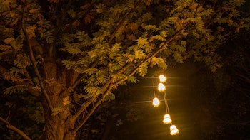 Placeholder for Kasteeltuinen Arcen Enchanted Gardens Norman 3