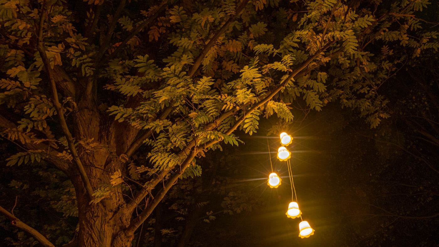 Kasteeltuinen Arcen Enchanted Gardens Norman 3