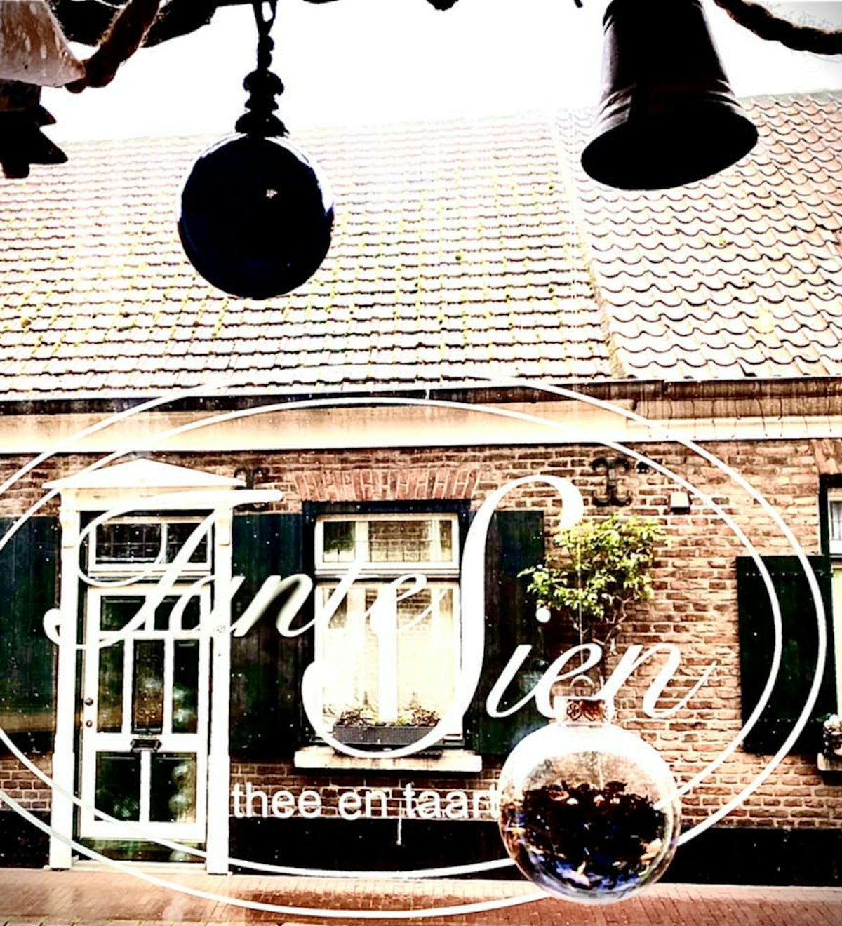 308118651 566005471989236 4452701918484074052 n