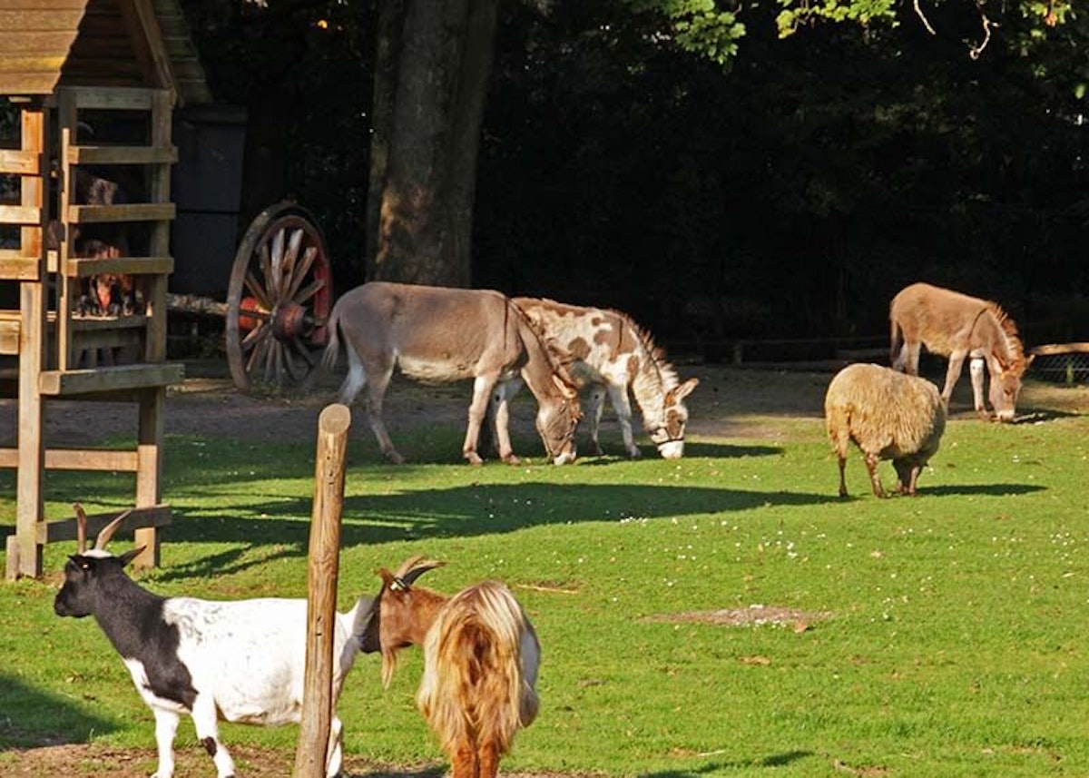 553 a38598917be471ad436f3933cb72df6e