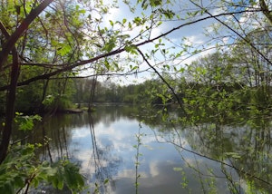 Placeholder for 9 Tangkoel een juweel om van te genieten 10 10 2018 scaled