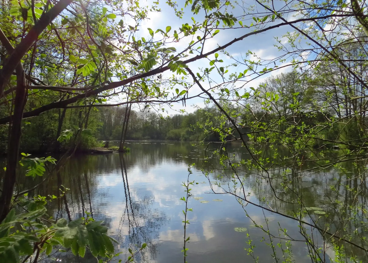 9 Tangkoel een juweel om van te genieten 10 10 2018 scaled