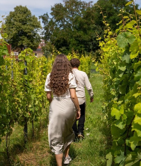 Placeholder for Domein Zavel