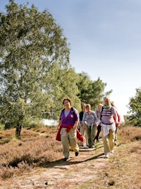 Placeholder for Groepje dames wandelen in Maasduinen