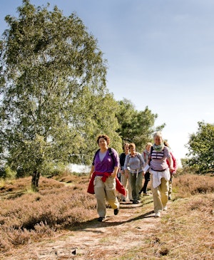 Placeholder for Groepje dames wandelen in Maasduinen