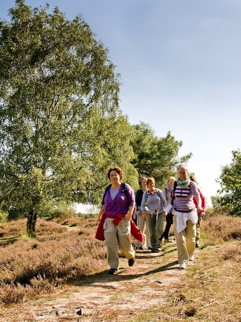 Groepje dames wandelen in Maasduinen