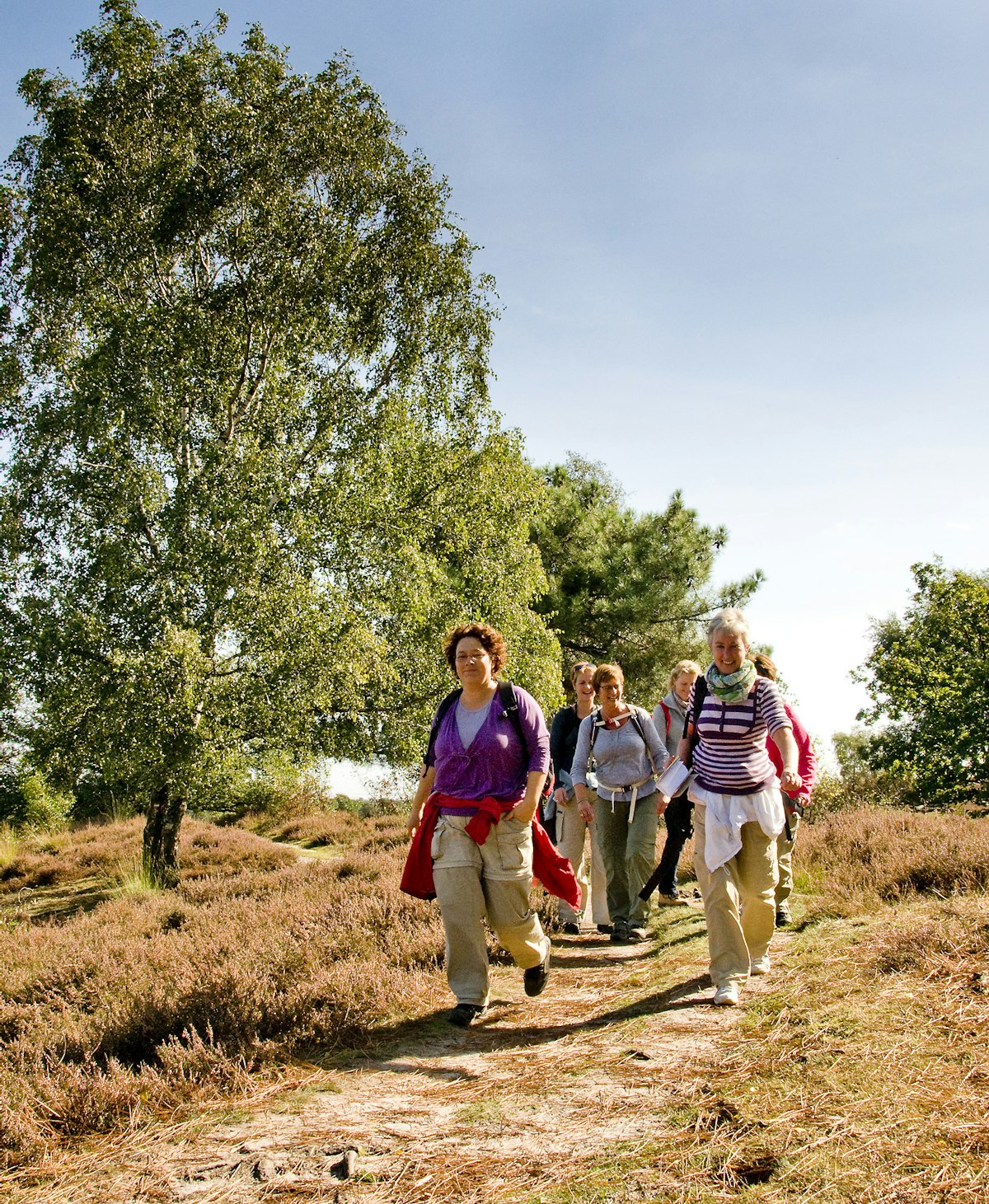 Groepje dames wandelen in Maasduinen