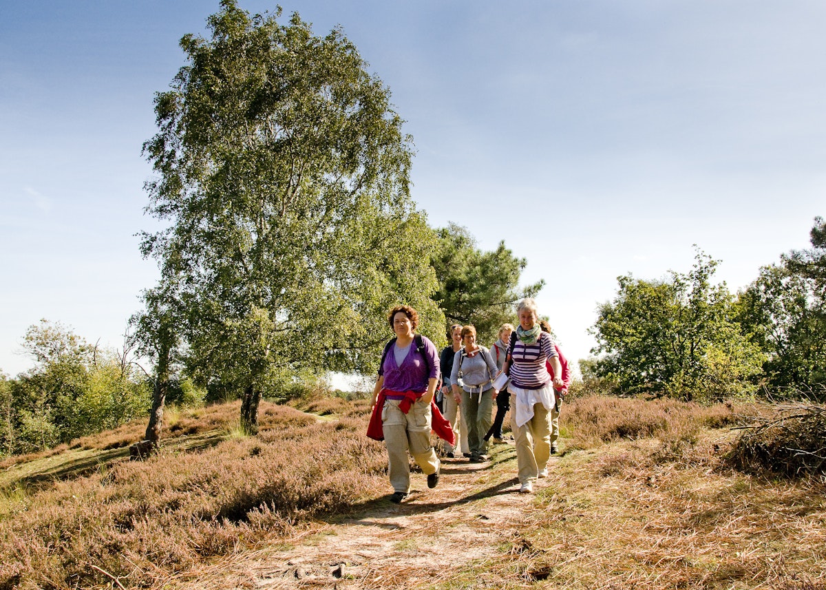 Groepje dames wandelen in Maasduinen