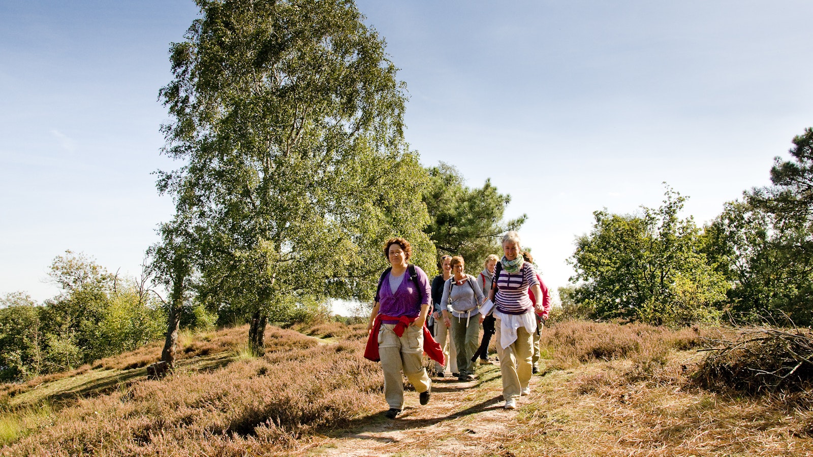 Groepje dames wandelen in Maasduinen