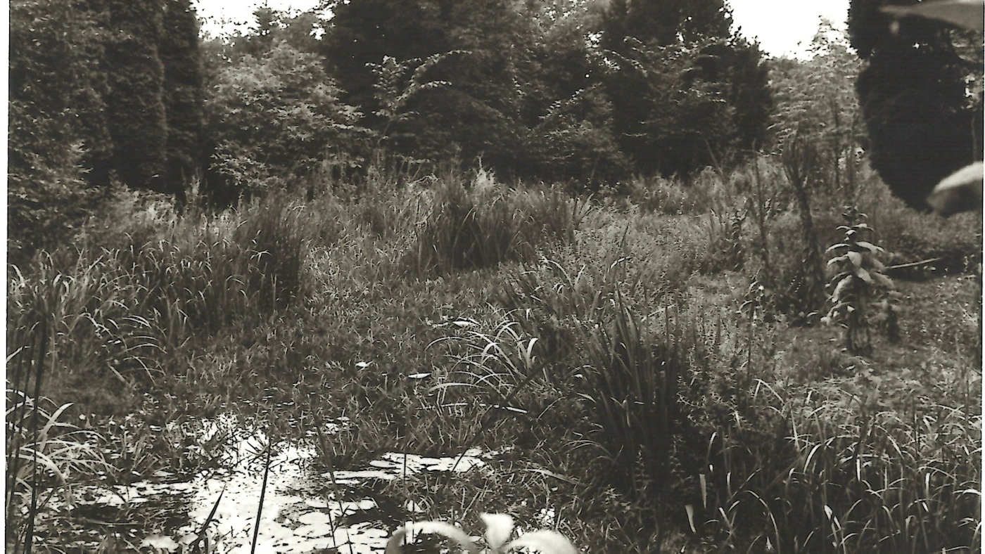 Heemtuin Jochumhof origineel in map Jochumhof