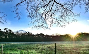 Placeholder for Jammerdal