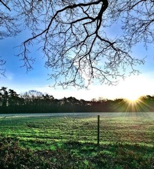 Placeholder for Jammerdal