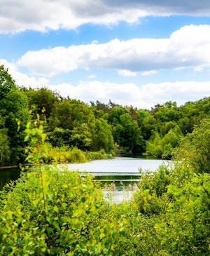 Placeholder for Jammerdal