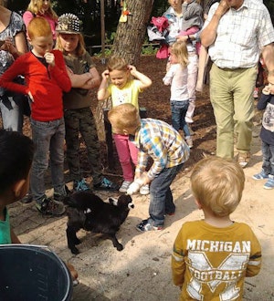 Placeholder for Kinderboerderij tumb