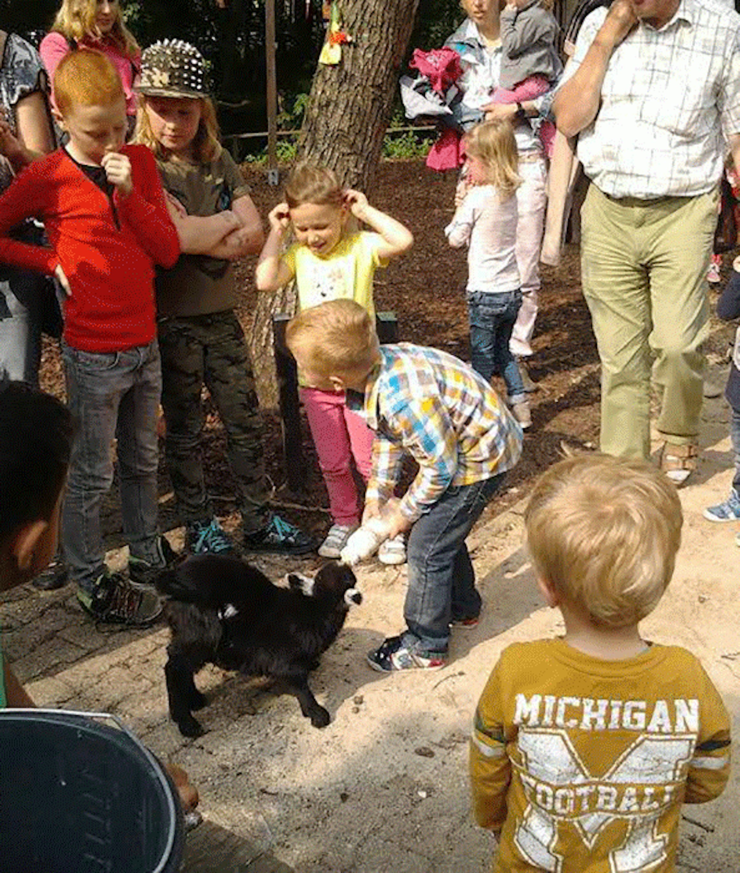 Kinderboerderij tumb