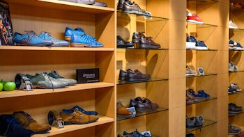 Placeholder for 2022 04 Venlo Partners Appelhans 16