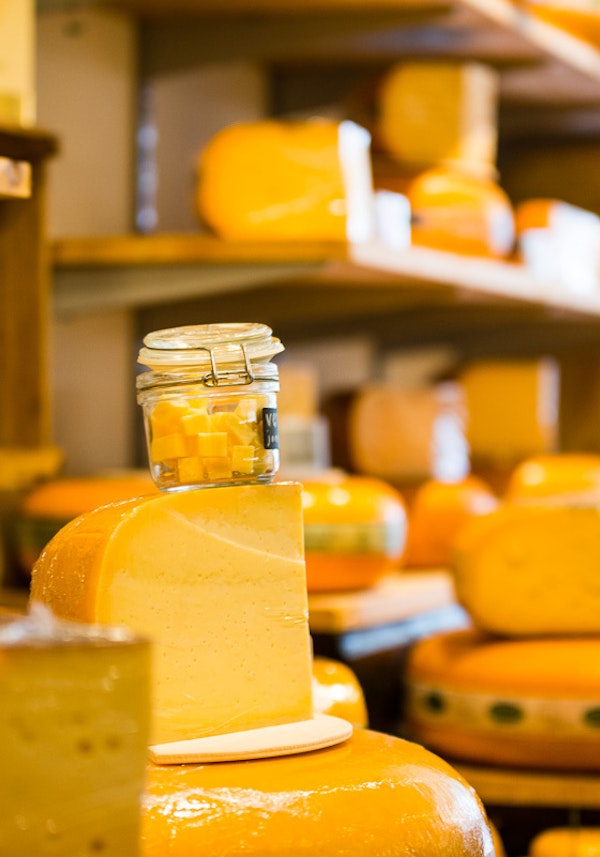 Placeholder for Venlo Partners Kaas Kaasjes 013