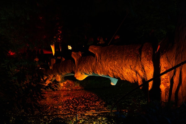 Placeholder for MVS 20251016 0017