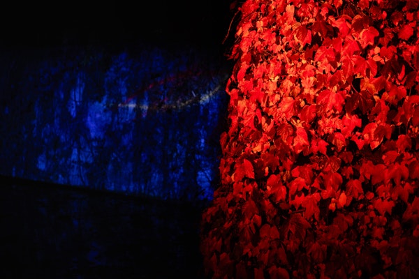 Placeholder for MVS 20251016 0054