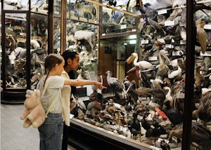 Placeholder for Missiemuseum Steyl